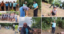 Com o fomento do TRE do Pará, mais de 100 mudas de árvores já foram plantadas em uma das extensõ...