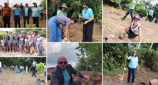 Com o fomento do TRE do Pará, mais de 100 mudas de árvores já foram plantadas em uma das extensõ...