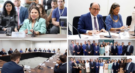 Vice-presidente e corregedora regional eleitoral do do TRE do Pará, desembargadora Filomena Buar...