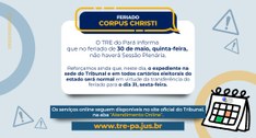 Neste dia, o expediente na sede do Tribunal e em todos os cartórios eleitorais e postos de atend...