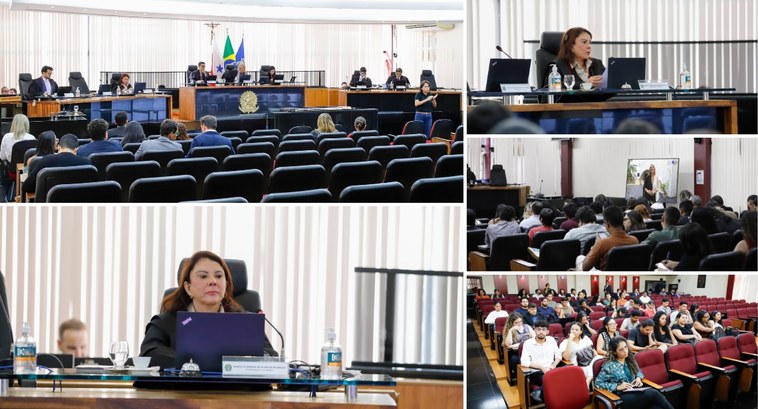 Os cinco projetos inscritos pela Corregedoria Regional Eleitoral do Pará (CRE-PA) no 3º Prêmio d...